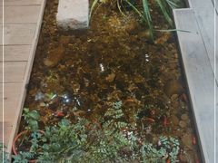 -邈墨茶馆(大兜路1号店)