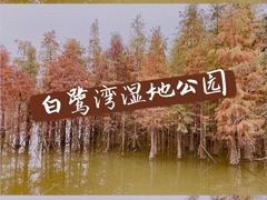 -白鹭湾湿地公园