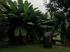 -东湖落雁景区