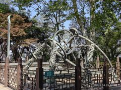 -紫金山天文台