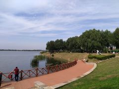 -丁香湖公园