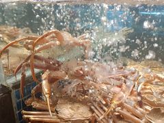 -徐记海鲜(大明宫|北二环店)