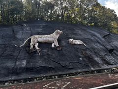 -哈尔滨北方森林动物园