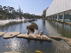 -罗红摄影艺术馆