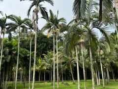 -中国科学院西双版纳热带植物园
