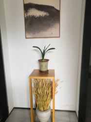 -云上瑜伽·普拉提·维密馆