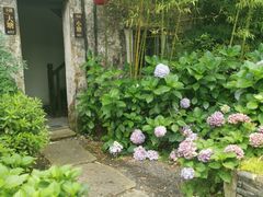 -田园东方蜜桃村的田野营地