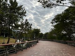 -立新湖公园