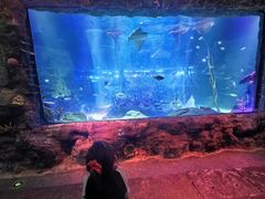 -沈阳海洋探索中心