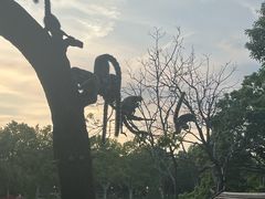 -上海野生动物园老虎餐厅