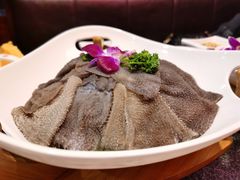 屠场鲜毛肚-鼎汇丰重庆老火锅(鞍顺园店)