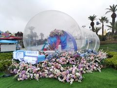-上海海昌海洋公园