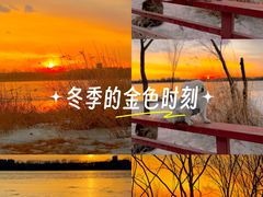 -绿堤公园
