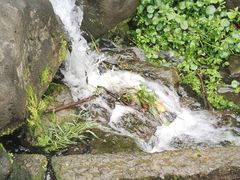 -中国茶叶博物馆(双峰馆区)