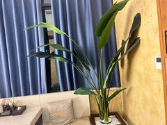 -新紫霞养生·影院足道·SPA(金山区店)