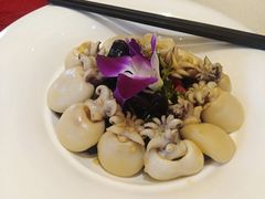 捞汁墨鱼仔-丰乐园大酒店