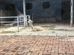 -攀枝花公园