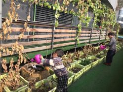 -可可天空农场(中大店)