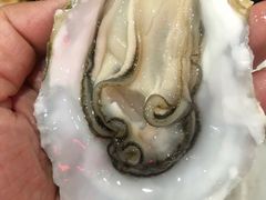 -蚝哥花姐湛江烤生蚝(美丽湾市场店)