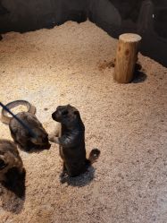 -酷嗒动物文化乐园(cutezoo西溪乐天城店)