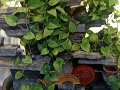 -杨波·影院式足道SPA(华夏家园店)