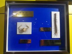 -上海昆虫博物馆