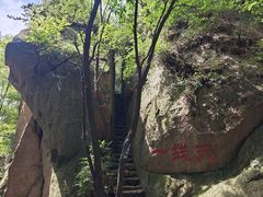 -六里坪国家森林公园