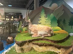 -香港科学馆