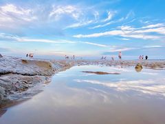 -南汇嘴观海公园