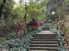 -梦姑塘文化公园