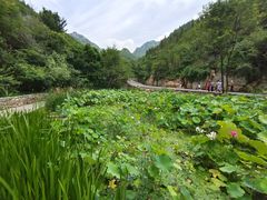 -潭溪山