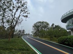 -宝界山林公园