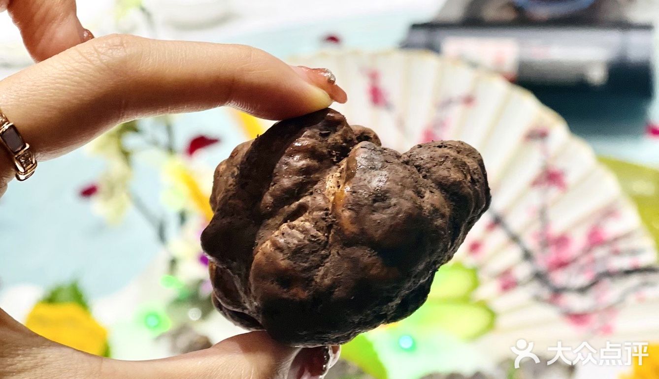 武汉独家顶级野生菌盛宴｜白松露自由｜高端私房菜🔥