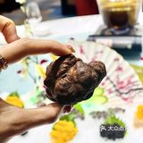 武汉独家顶级野生菌盛宴｜白松露自由｜高端私房菜🔥