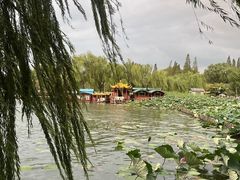 -泉畔人家·老济南经典鲁菜(大明湖店)