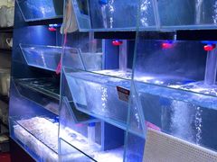 -御龙海鲜火锅(十六浦店)