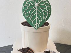 -你好独角兽·蛋糕甜品