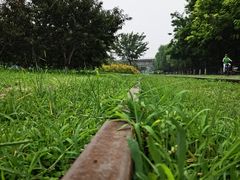 -永定河休闲森林公园