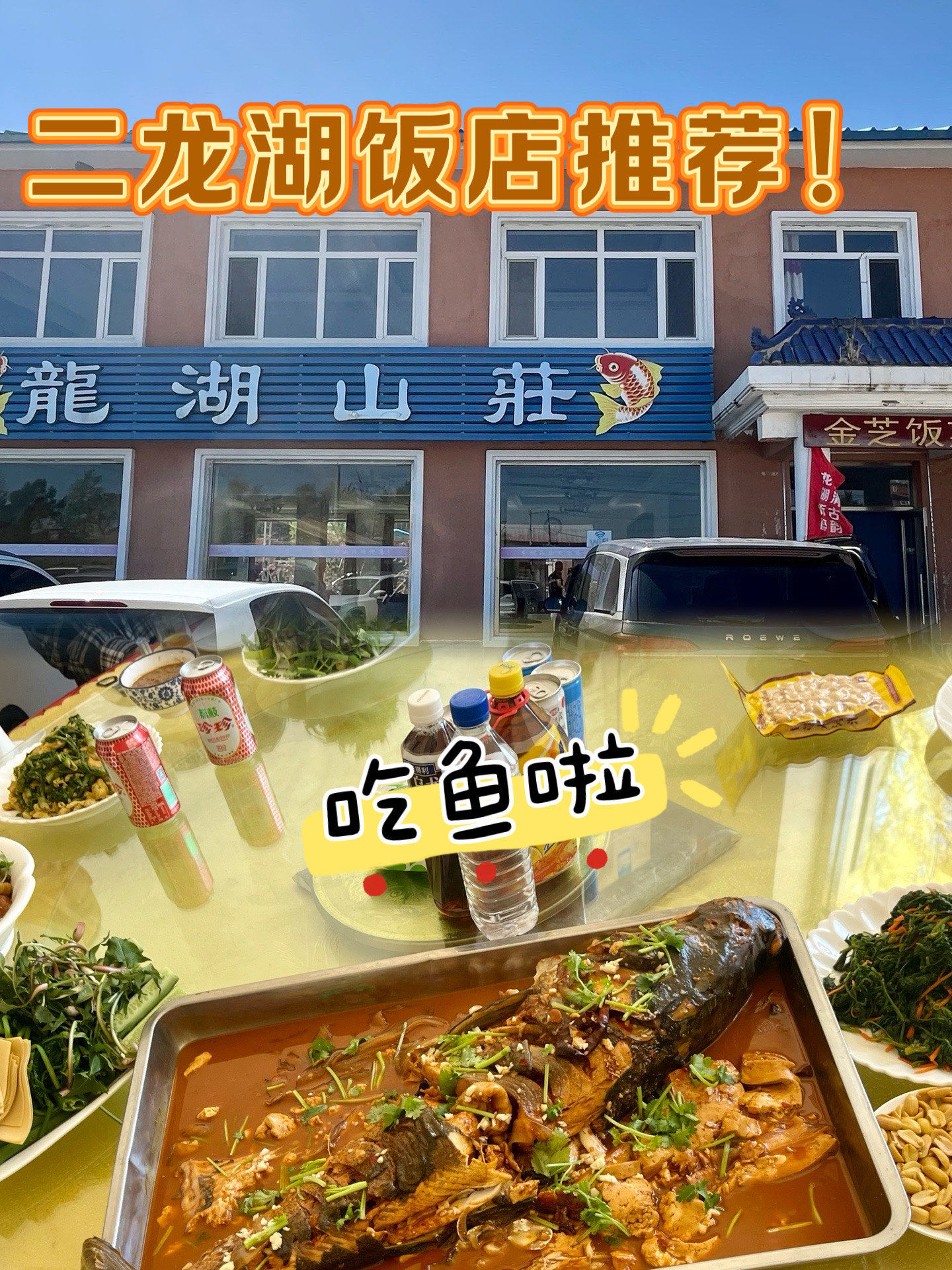 四平|来二龙湖吃鱼啦