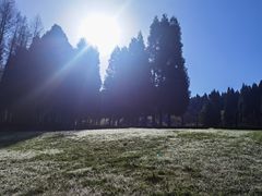 -武陵山森林公园
