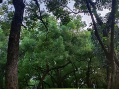 -晓港公园