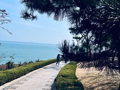 -燕儿岛山公园