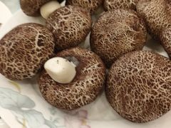 -南京维景国际大酒店(南京博物院店)