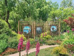 -上海共青森林公园