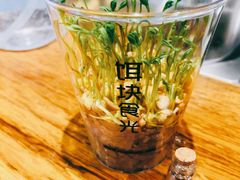 -饵块食光·云南有机手作饵块