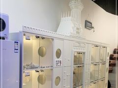 -小猫来了·猫舍(红山六九七九店)