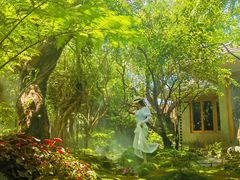-Chom Cafe and Restaurant