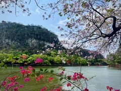 -星湖旅游景区七星岩