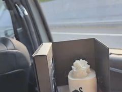-BLACKSWAN黑天鹅(环球店)