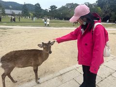 -奈良公园